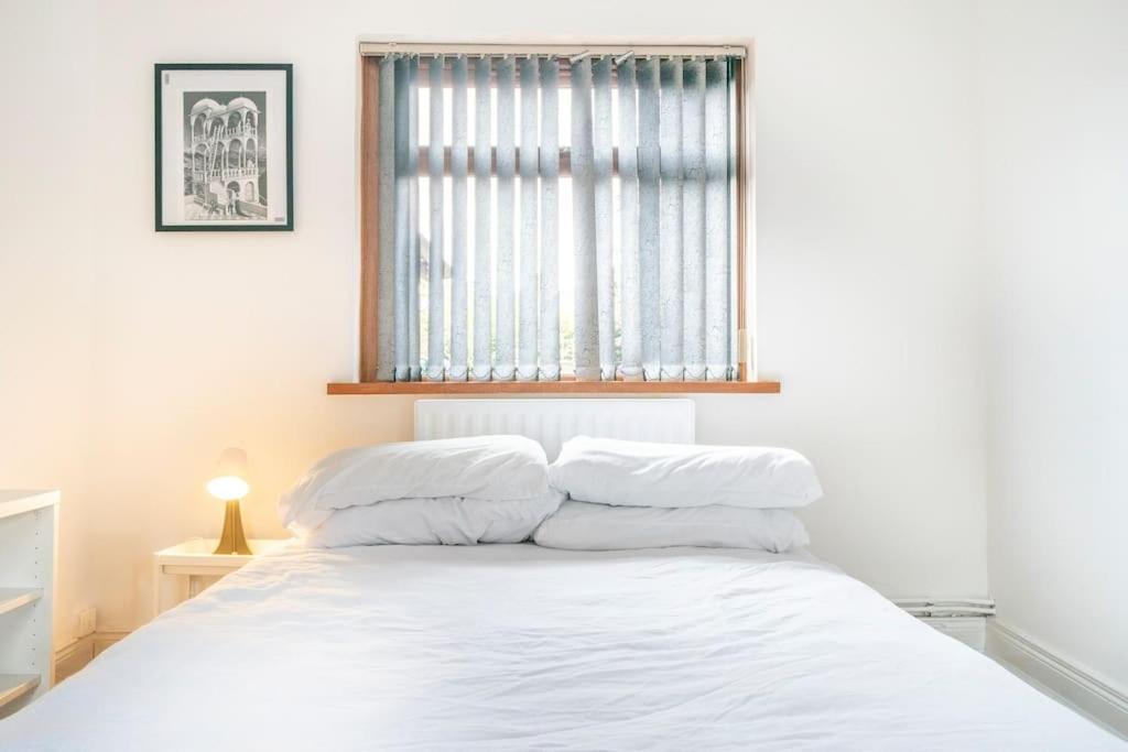 Modern 3 Bedroom House Close To Ferry And City Centre 贝尔法斯特 外观 照片